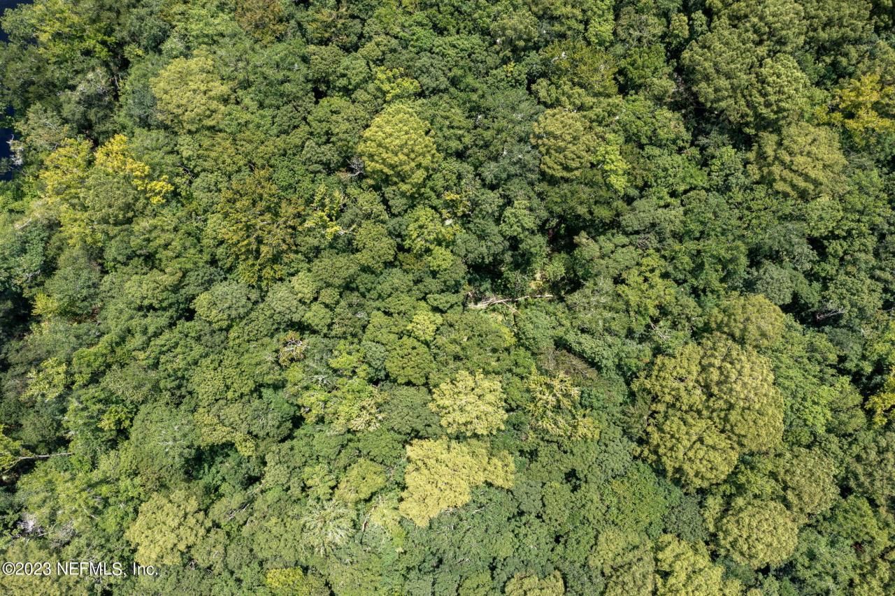 3716 Main Street, Middleburg, FL 32068 Photo