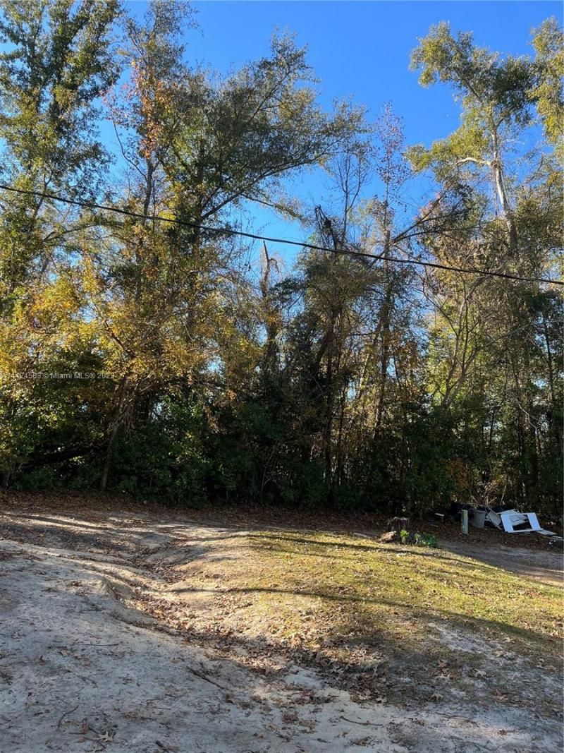 1316 Carrol St, Chattahoochee, FL 32324 Photo