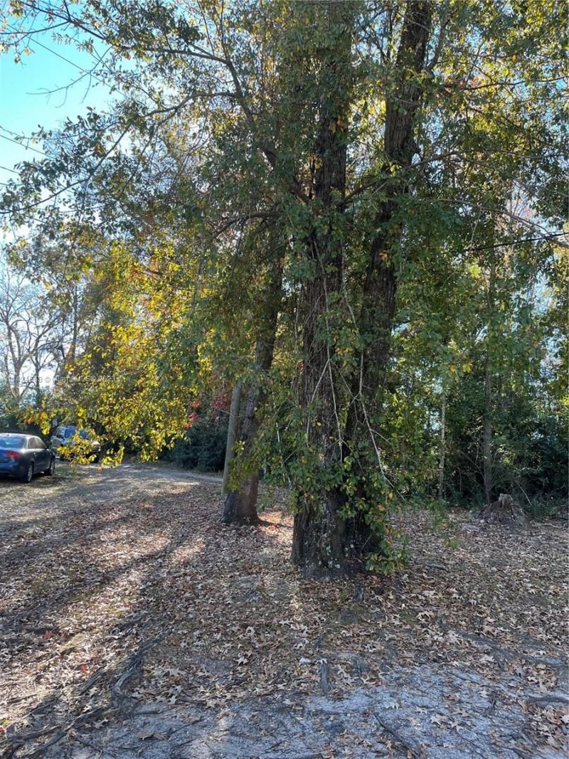 1316 Carrol St, Chattahoochee, FL 32324 Photo