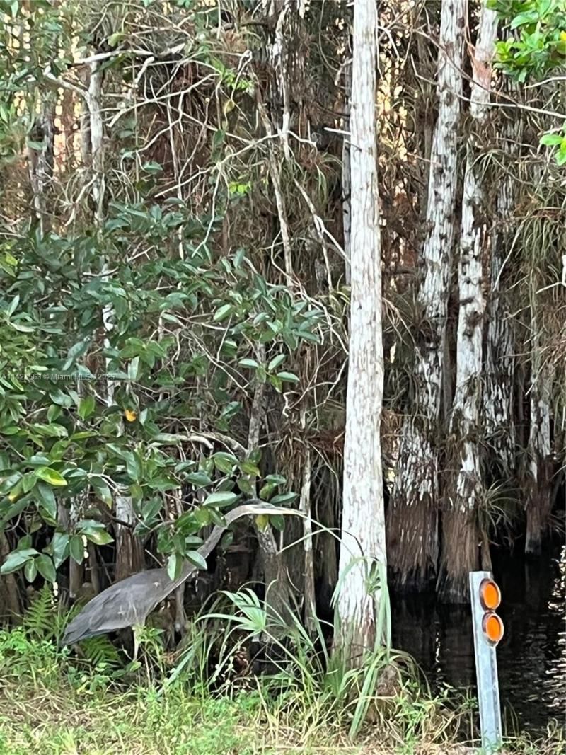 1316 Carrol St, Chattahoochee, FL 32324 Photo