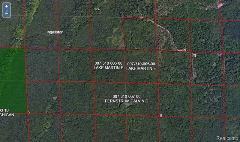 Million Dollar Road, Ingallston Township, MI 49858 Main Photo