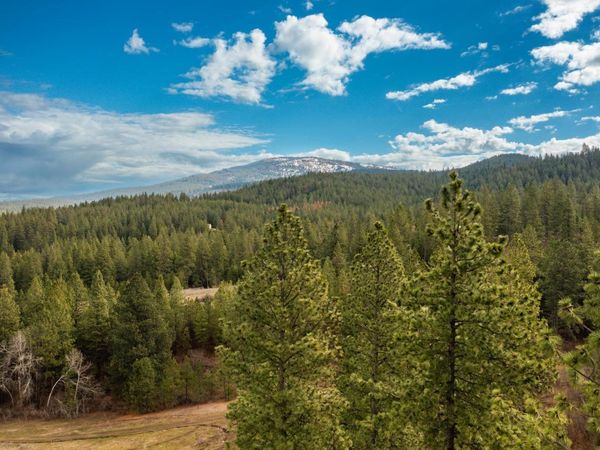 179XX E Belmont Rd, Mica, WA 99023