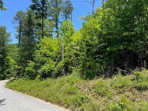 lot 24 Round Mountain Road, Brevard, NC 28712