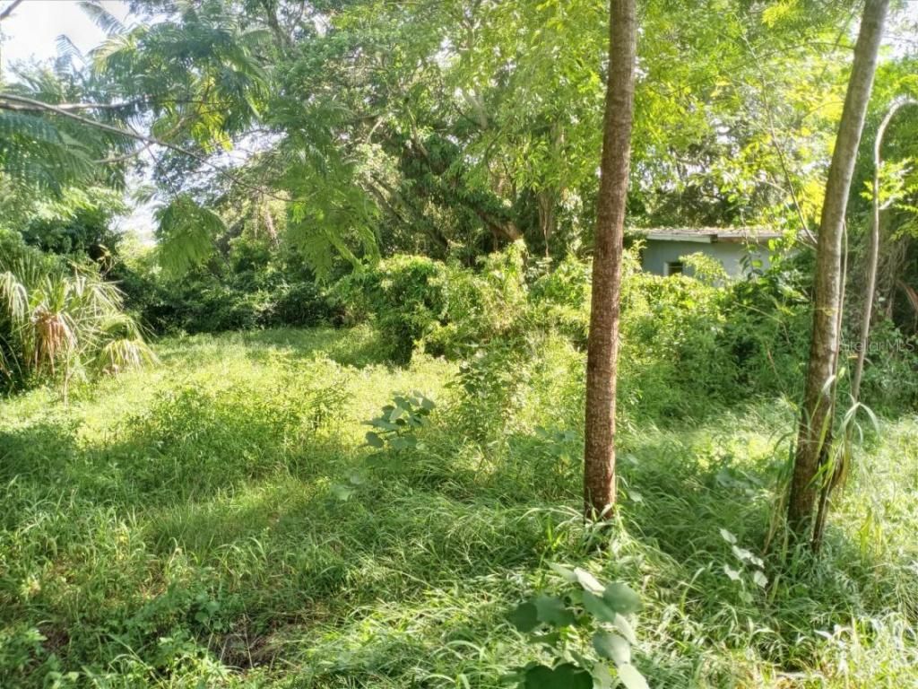 4022 Shellman Street, Orlando, FL 32811 Photo