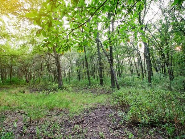 16611-lot 77 Noble Street, Lowell, IN 46356