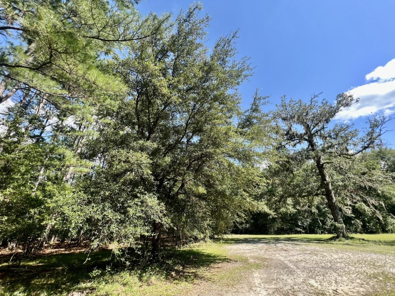 1 Evangelitst Drive Photo 25