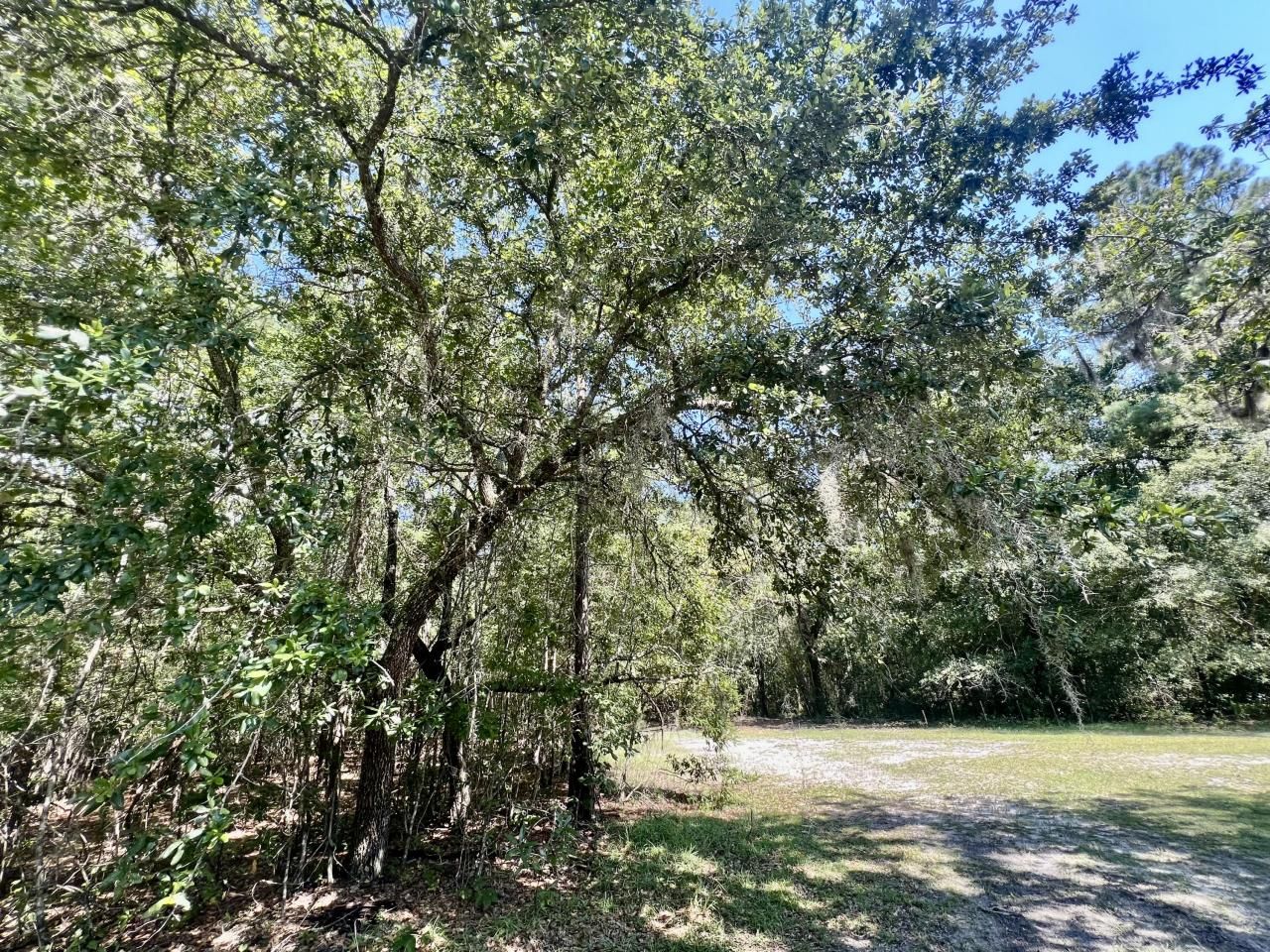 1 Evangelitst Drive Photo 26