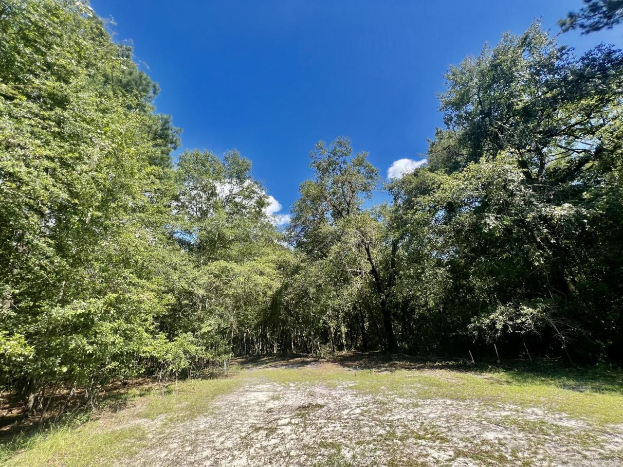 1 Evangelitst Drive Photo 27