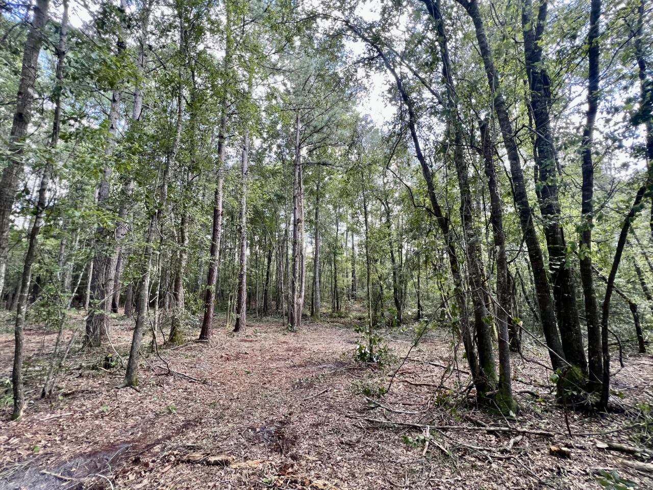 1 Evangelitst Drive Photo 28