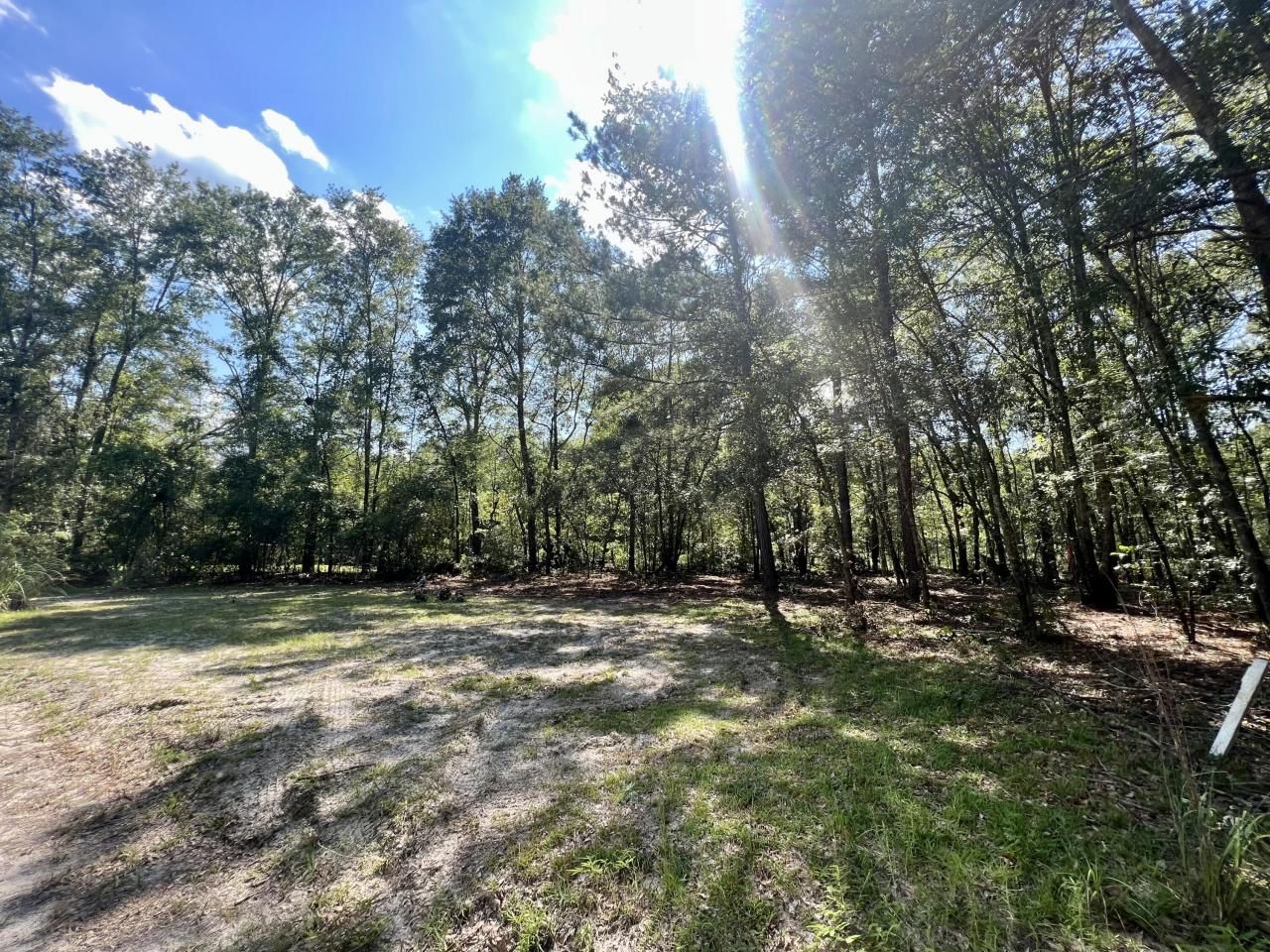 1 Evangelitst Drive Photo 3