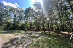 1 Evangelitst Drive photo 4