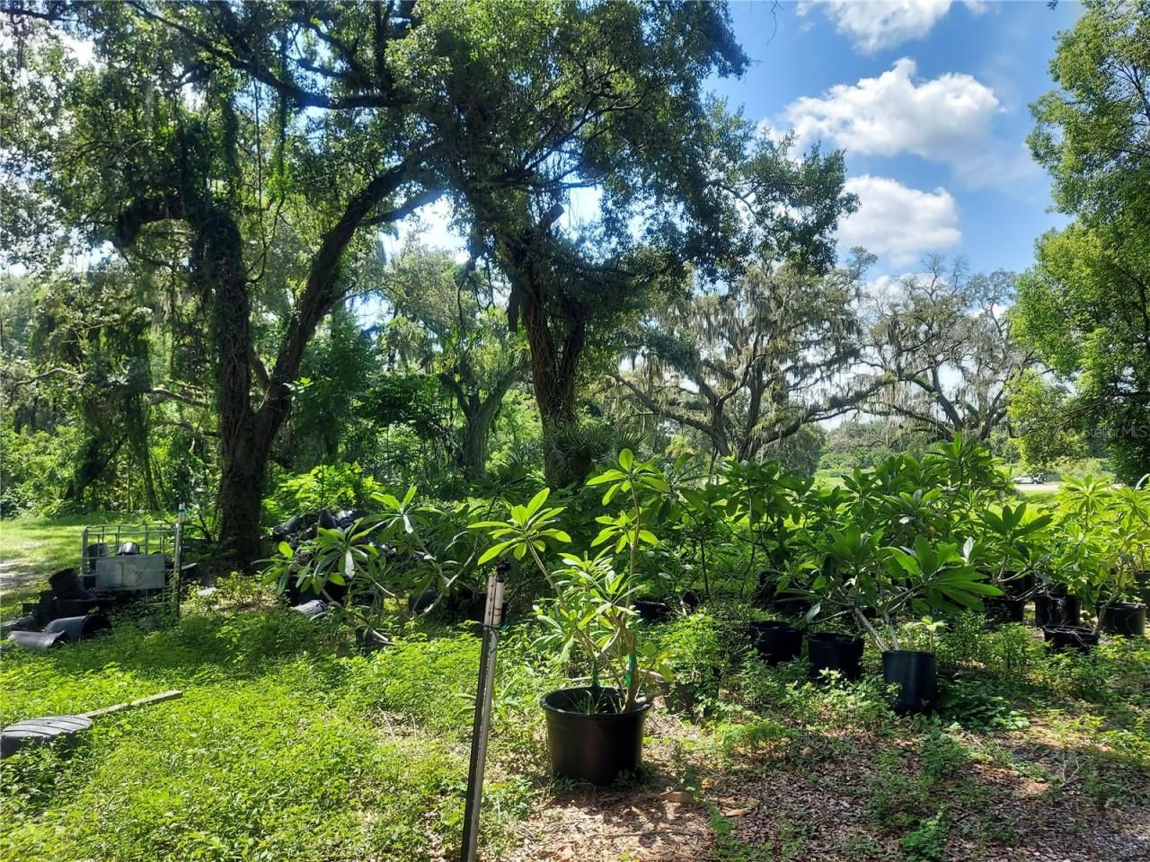 453 W Dr Martin Luther King Jr Boulevard, Seffner, FL 33584 Photo