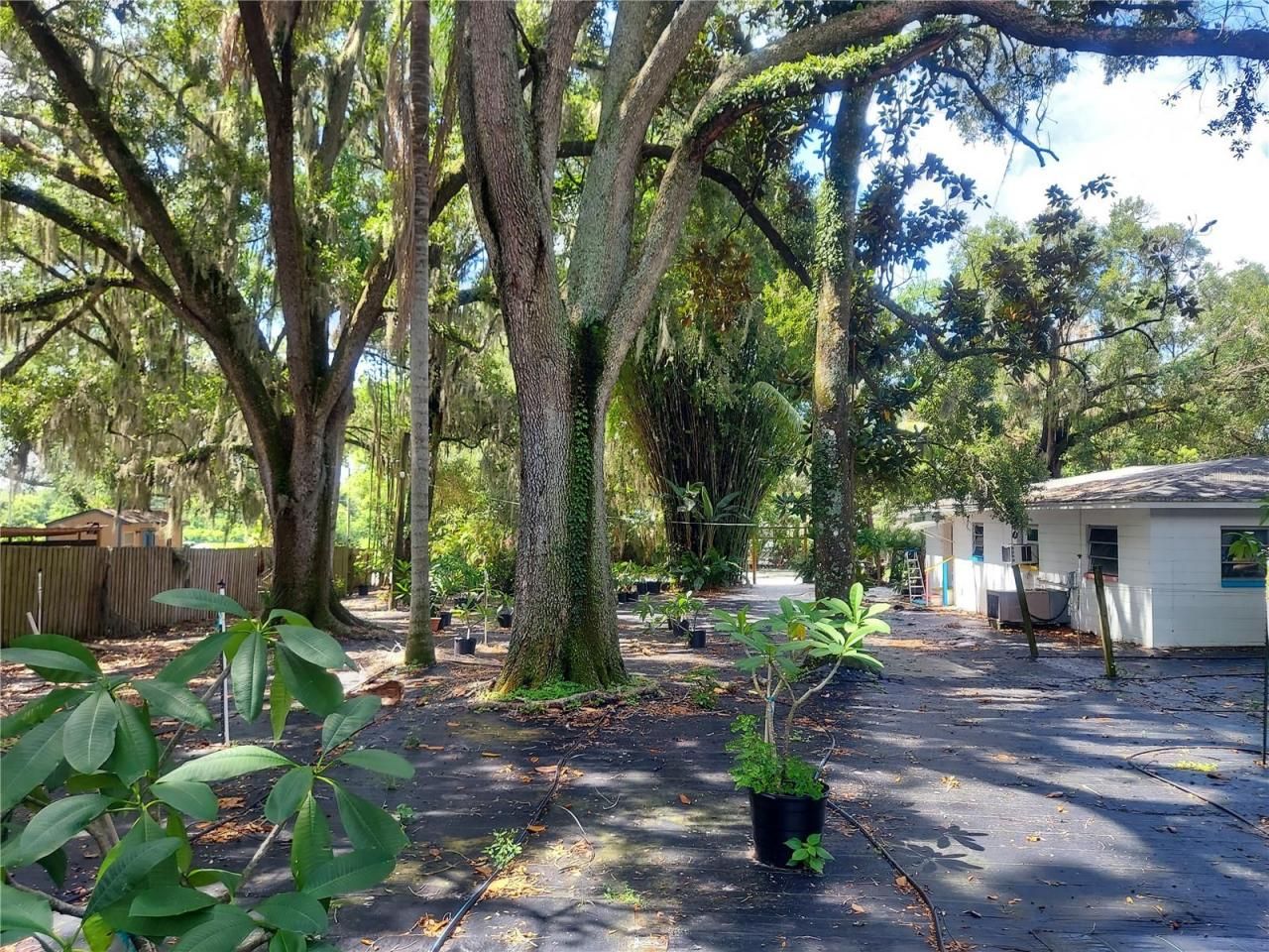 453 W Dr Martin Luther King Jr Boulevard, Seffner, FL 33584 Photo