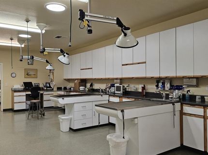405 S Main Street, Yerington, NV 89447 Photo