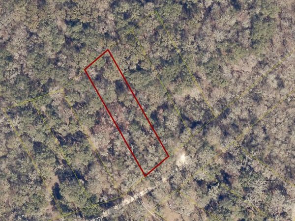 RIVER RUN ROAD, Branford, FL 32008