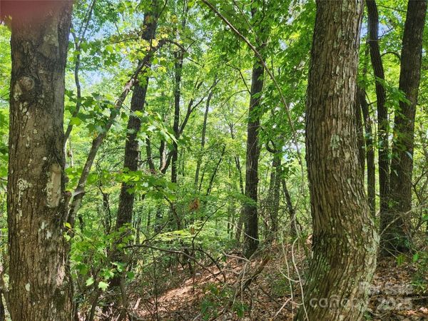 Lot 117, 118, & 132 Summit Court, Lake Lure, NC 28746