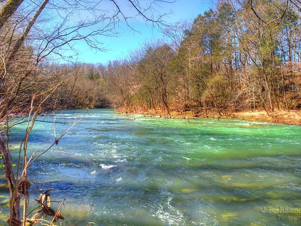 Lot 6 Wanda Lane, Pall Mall, TN 38577