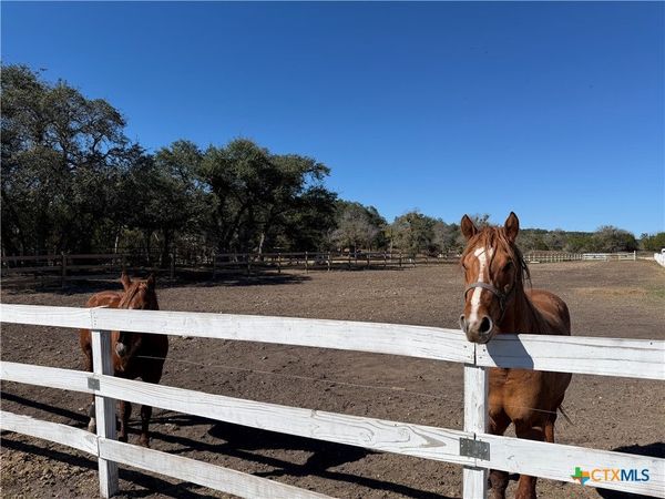 1841 Oak Meadows, Canyon Lake, TX 78133