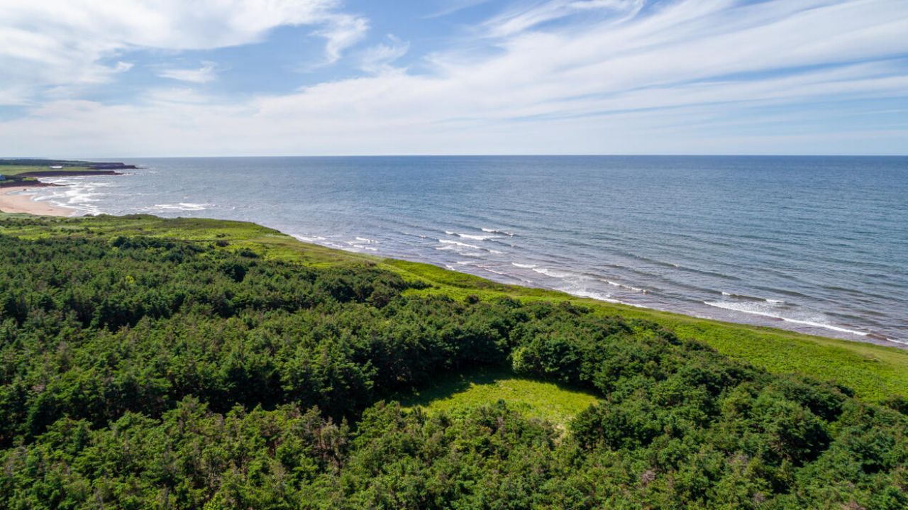 1 Willow Lane, ,  00000 Photo