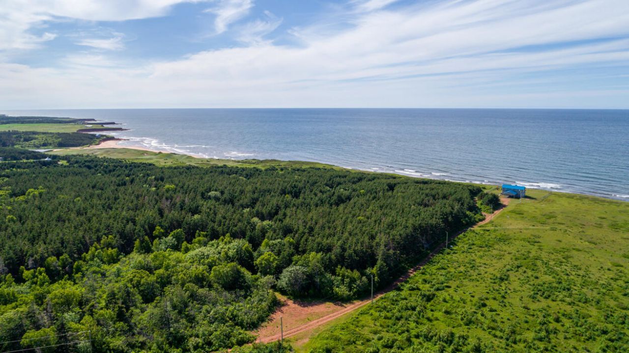 1 Willow Lane, ,  00000 Photo