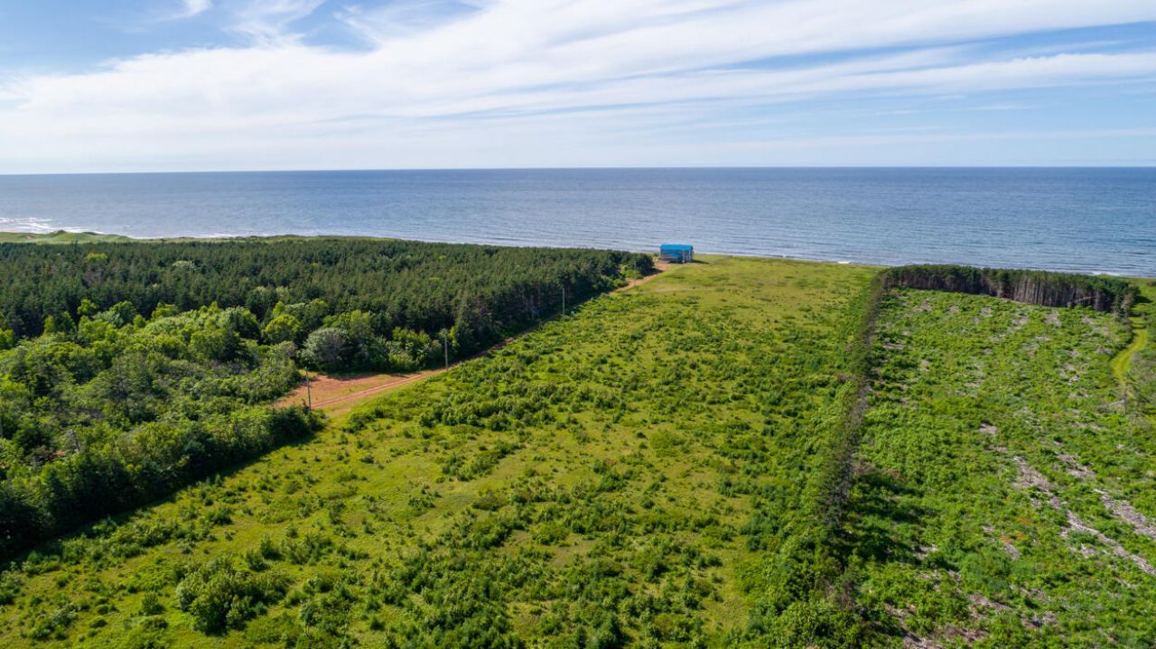 1 Willow Lane, ,  00000 Photo