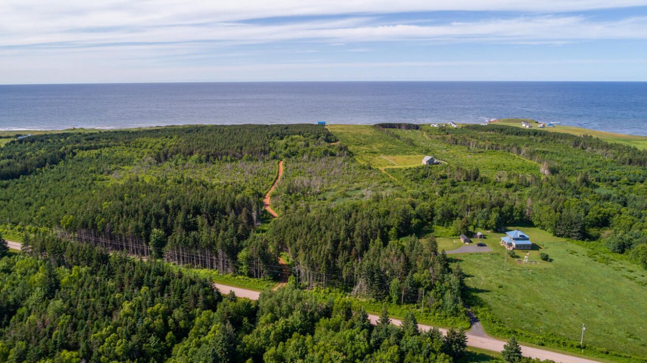 1 Willow Lane, ,  00000 Photo