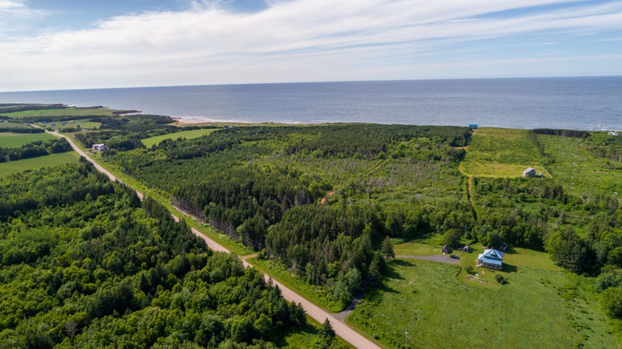 1 Willow Lane, ,  00000 Photo