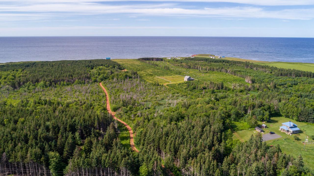 1 Willow Lane, ,  00000 Photo