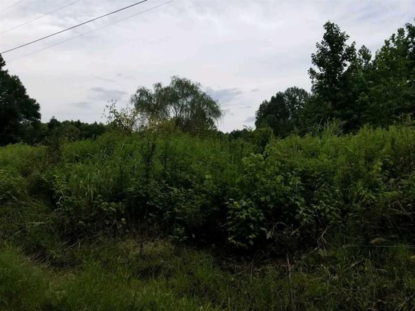 193 Parkburg (Lot 20) Road, Jackson, TN 38301