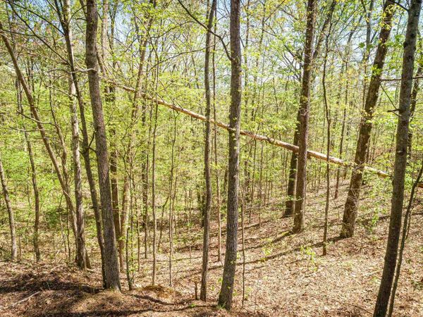 Lots 172 & 165 Fawn Ridge Road, Parsons, TN 38363