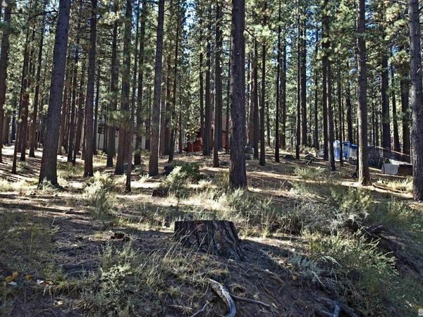 66 Pleasant Valley Road, Markleeville, CA 96120