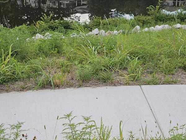 Lot 13 Vintage Pointe/Highland Spring, Springfield, MO 65809