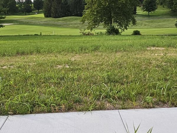 Lot 19 Highland Spring/Vintage Pointe, Springfield, MO 65809