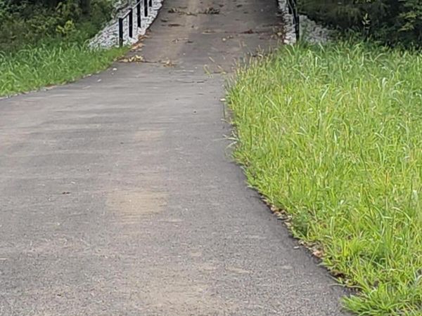 Lot 21 Highland Spring/Vintage Pointe, Springfield, MO 65809