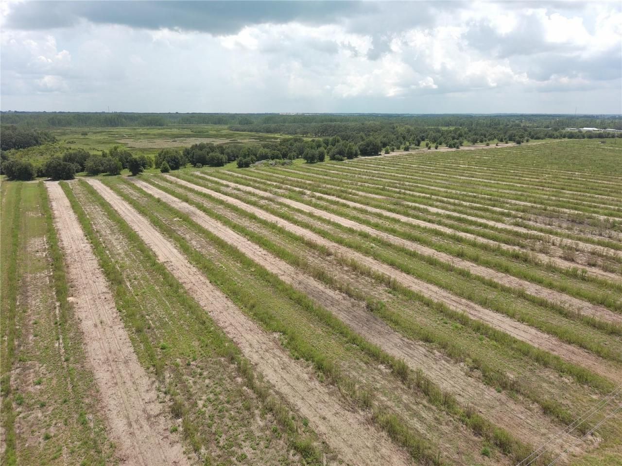 000 Kuder Ranch Road, Haines City, FL 33844 Photo