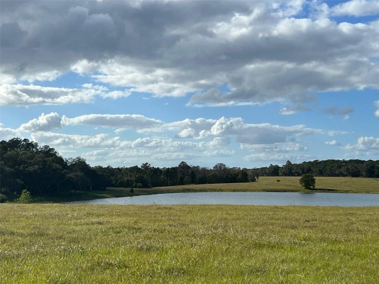 Se 74th Lane Road, Lot #9-WEST, Ocklawaha, FL 32179 Photo