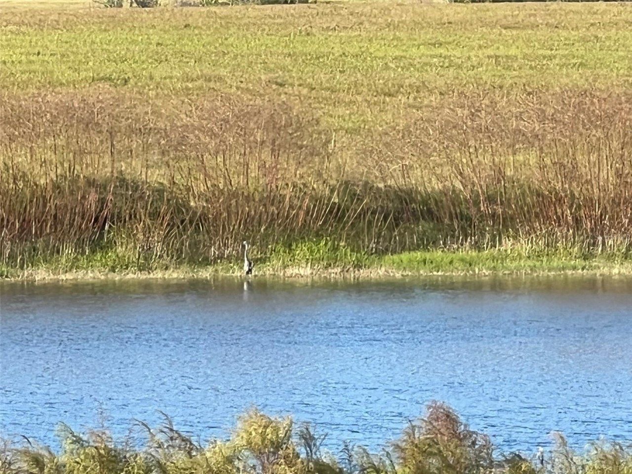 Se 74th Lane Road, Lot #9-WEST, Ocklawaha, FL 32179 Photo