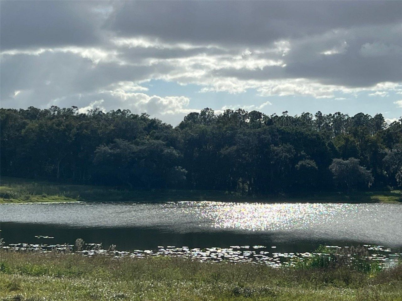 Se 74th Lane Road, Lot #9-WEST, Ocklawaha, FL 32179 Photo