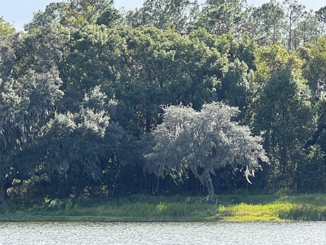 Se 74th Lane Road, Lot #9-WEST, Ocklawaha, FL 32179 Photo