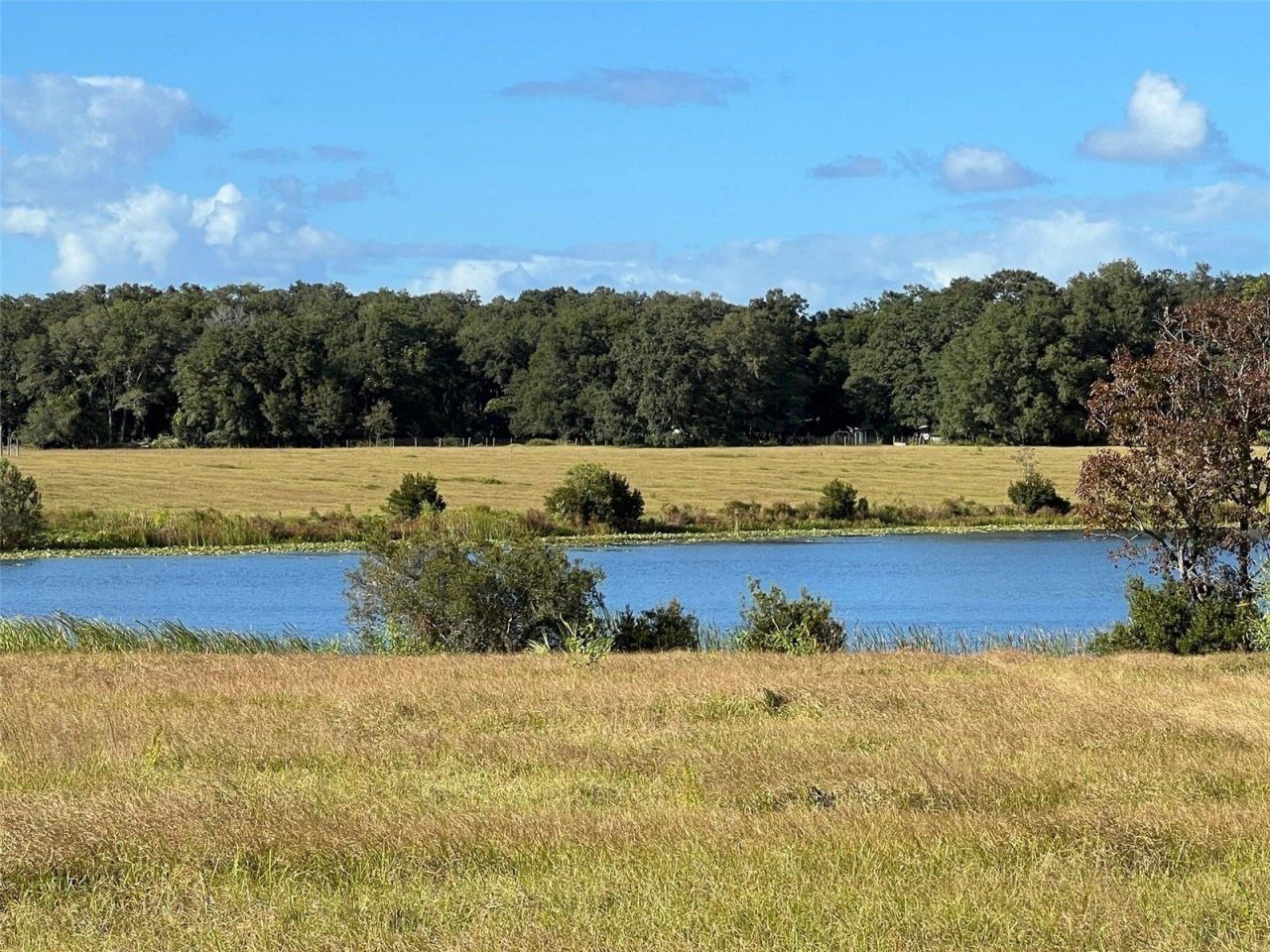 Se 74th Lane Road, Lot #9-WEST, Ocklawaha, FL 32179 Photo