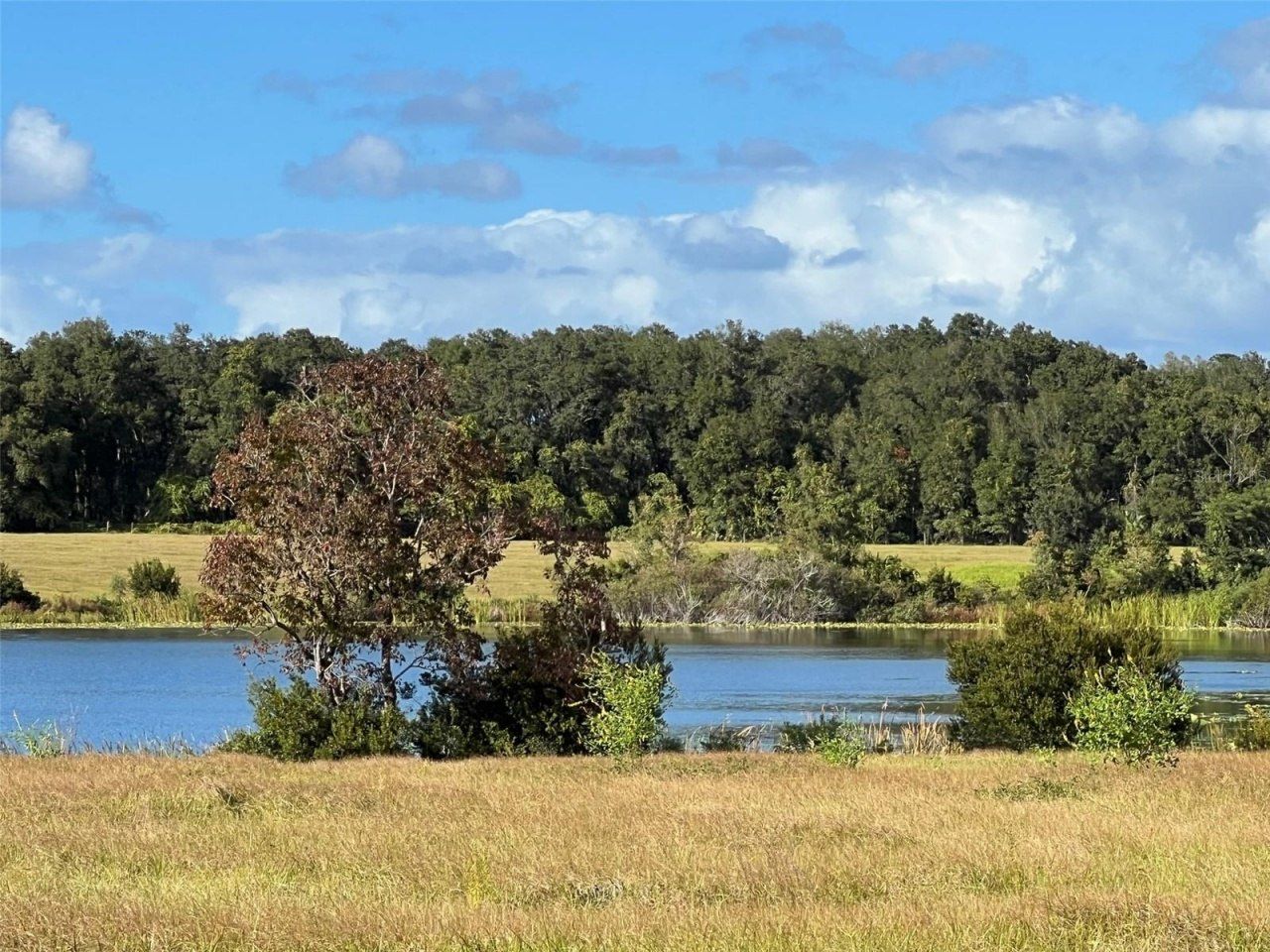 Se 74th Lane Road, Lot #9-WEST, Ocklawaha, FL 32179 Photo