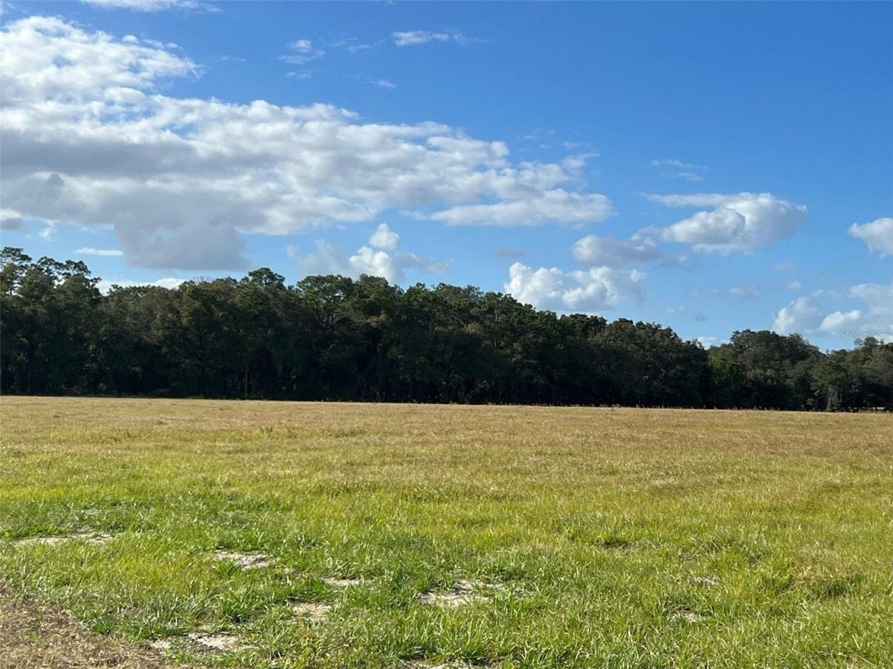 Se 74th Lane Road, Lot #9-WEST, Ocklawaha, FL 32179 Photo