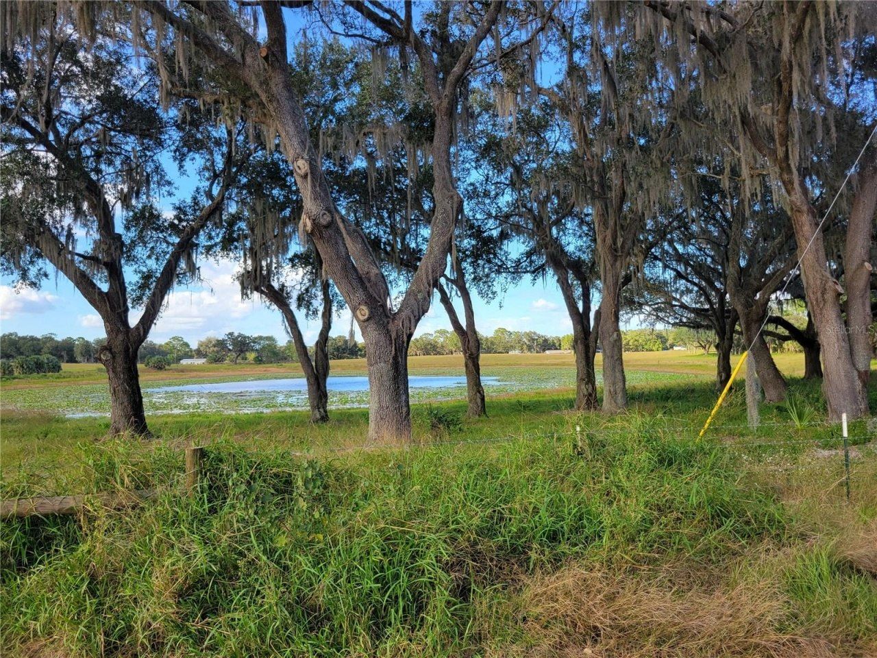 Se 74th Lane Road, Lot #9-WEST, Ocklawaha, FL 32179 Photo