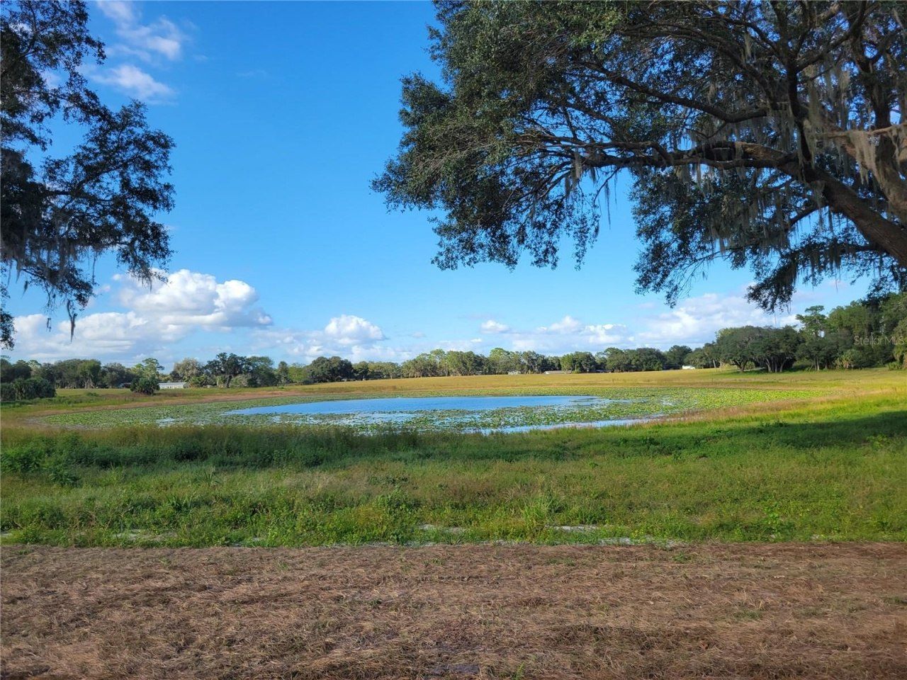 Se 74th Lane Road, Lot #8-WEST, Ocklawaha, FL 32179 Photo