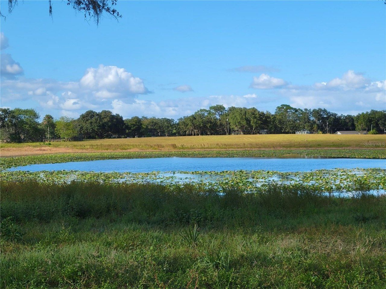 Se 74th Lane Road, Lot #8-WEST, Ocklawaha, FL 32179 Photo