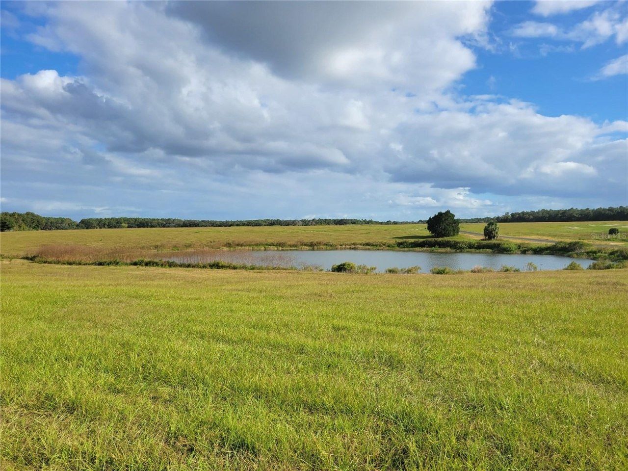 Se 74th Lane Road, Lot #8-WEST, Ocklawaha, FL 32179 Photo