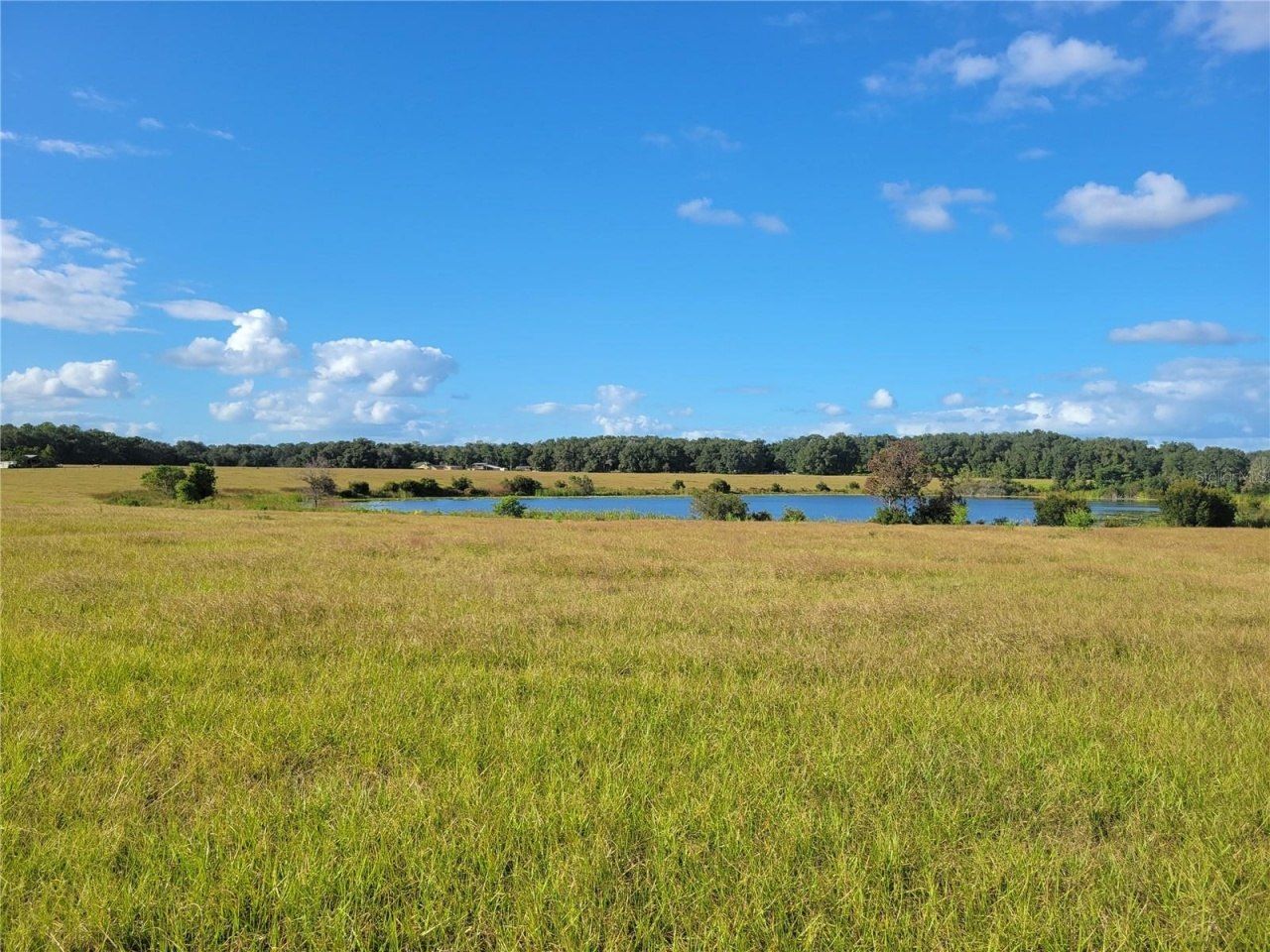 Se 74th Lane Road, Lot #8-WEST, Ocklawaha, FL 32179 Photo