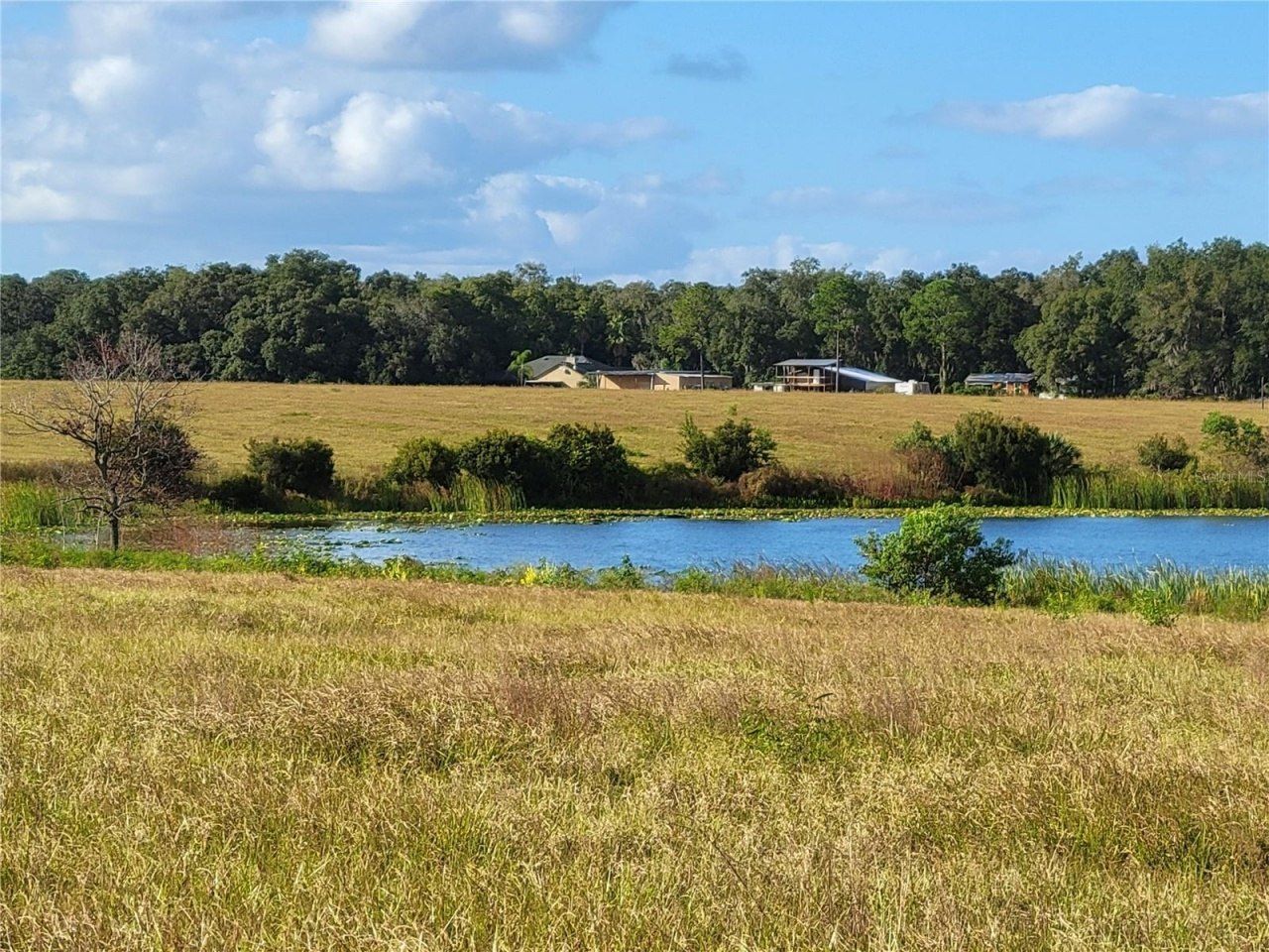 Se 74th Lane Road, Lot #8-WEST, Ocklawaha, FL 32179 Photo