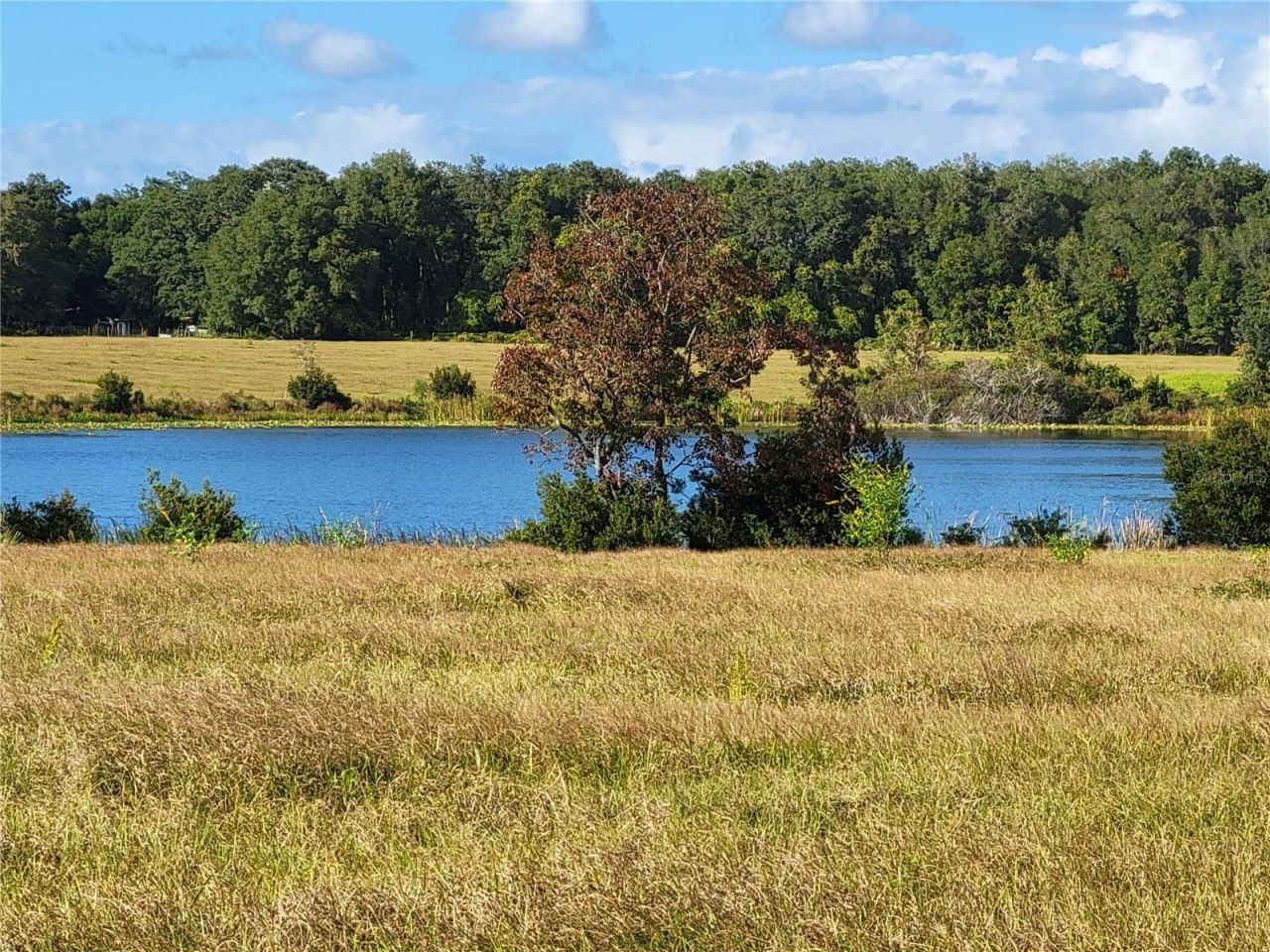 Se 74th Lane Road, Lot #8-WEST, Ocklawaha, FL 32179 Photo