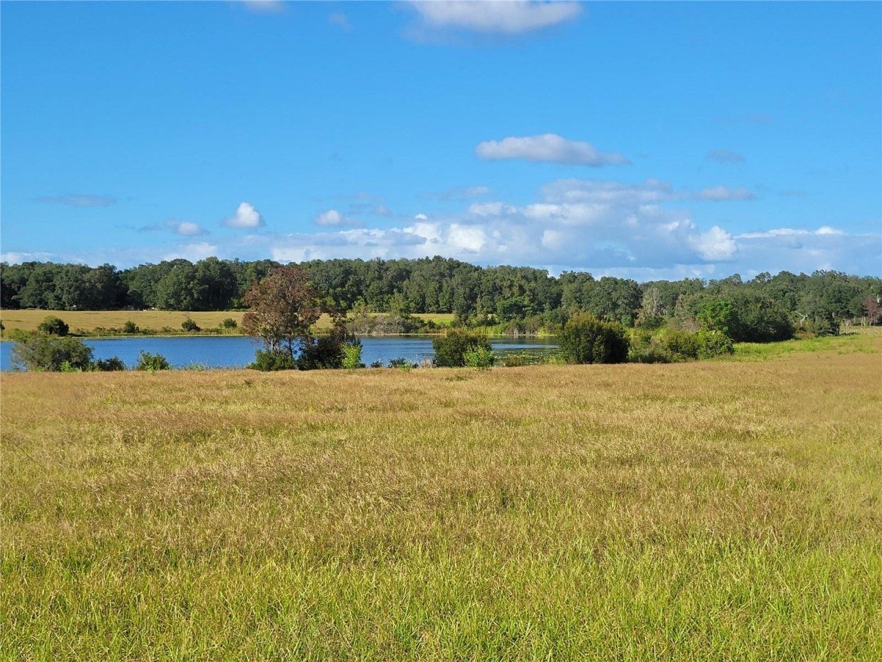 Se 74th Lane Road, Lot #8-WEST, Ocklawaha, FL 32179 Photo